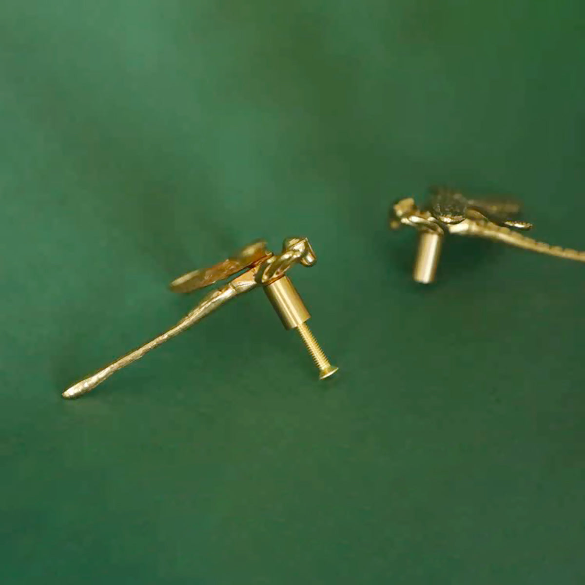 Dragonfly Brass Knobs | A15